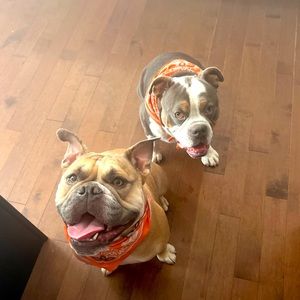 Meet your Posher, Kim